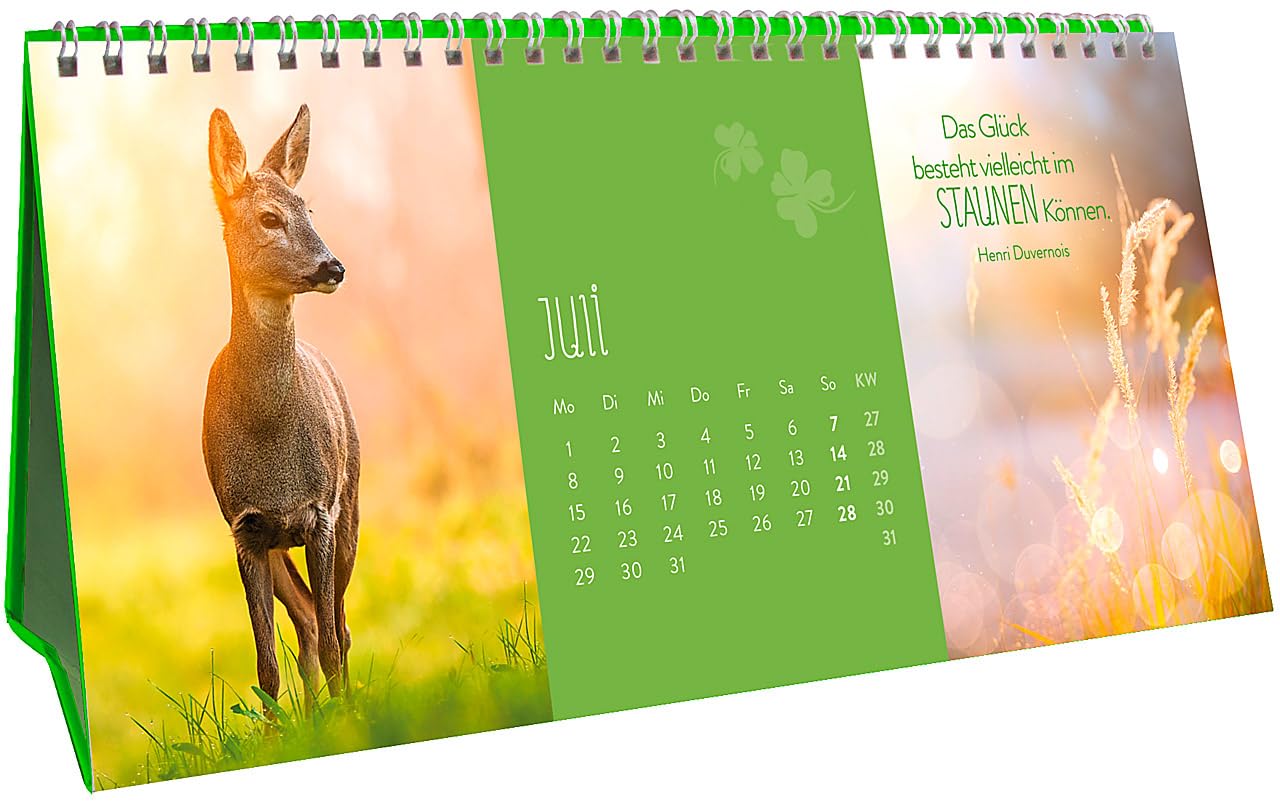 Glücksmomente für jeden Tag 2019: 3-teiliger Tischkalender mit Monatskalendarium