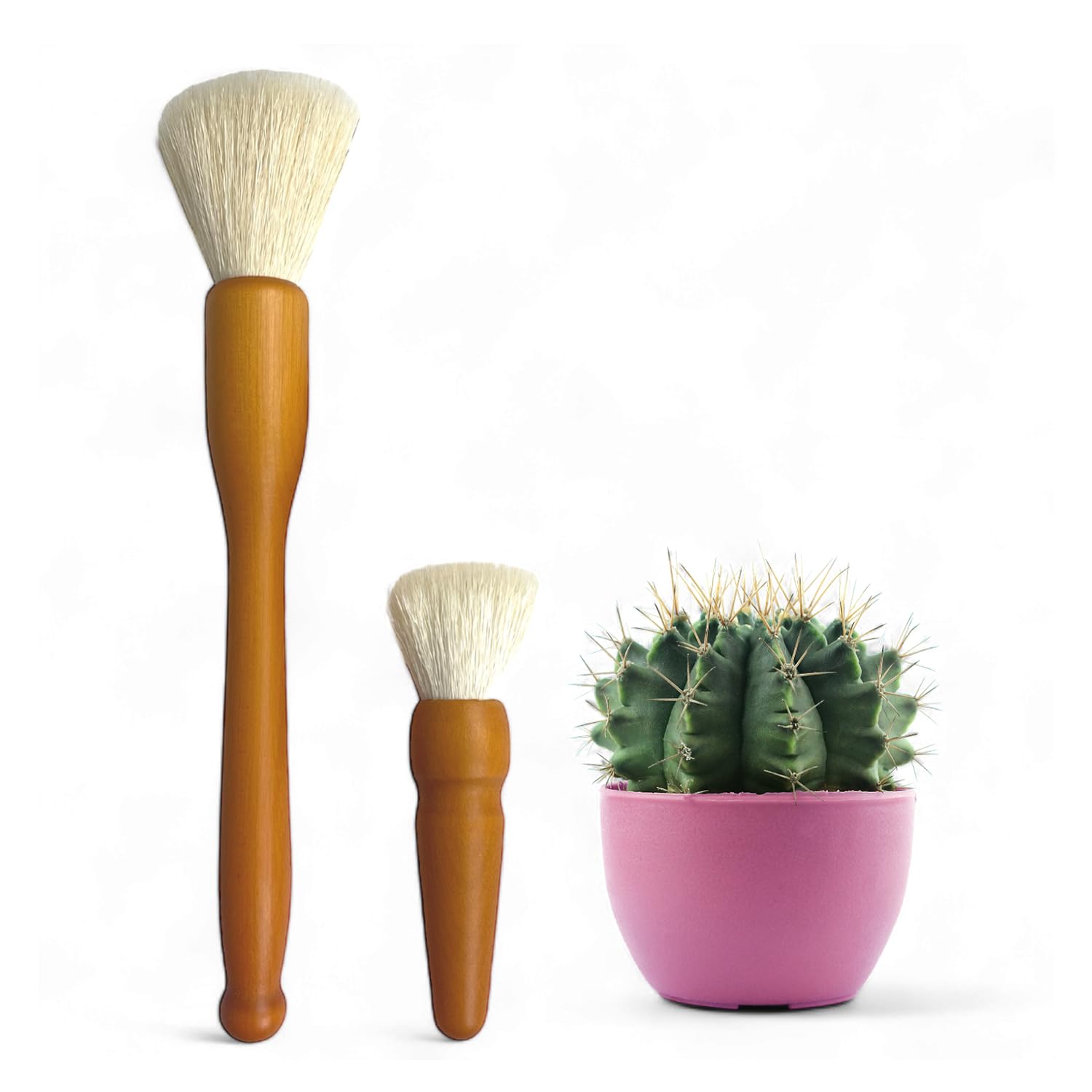 Southside Plant Cactus & Succulent Plants Cleaning Brushes - Wooden Handles w/Soft Goat Hair Bristles - Garden Cleaning Tools, Gentle on Plants, 7" & 3.2" Sizes - Pack of 2