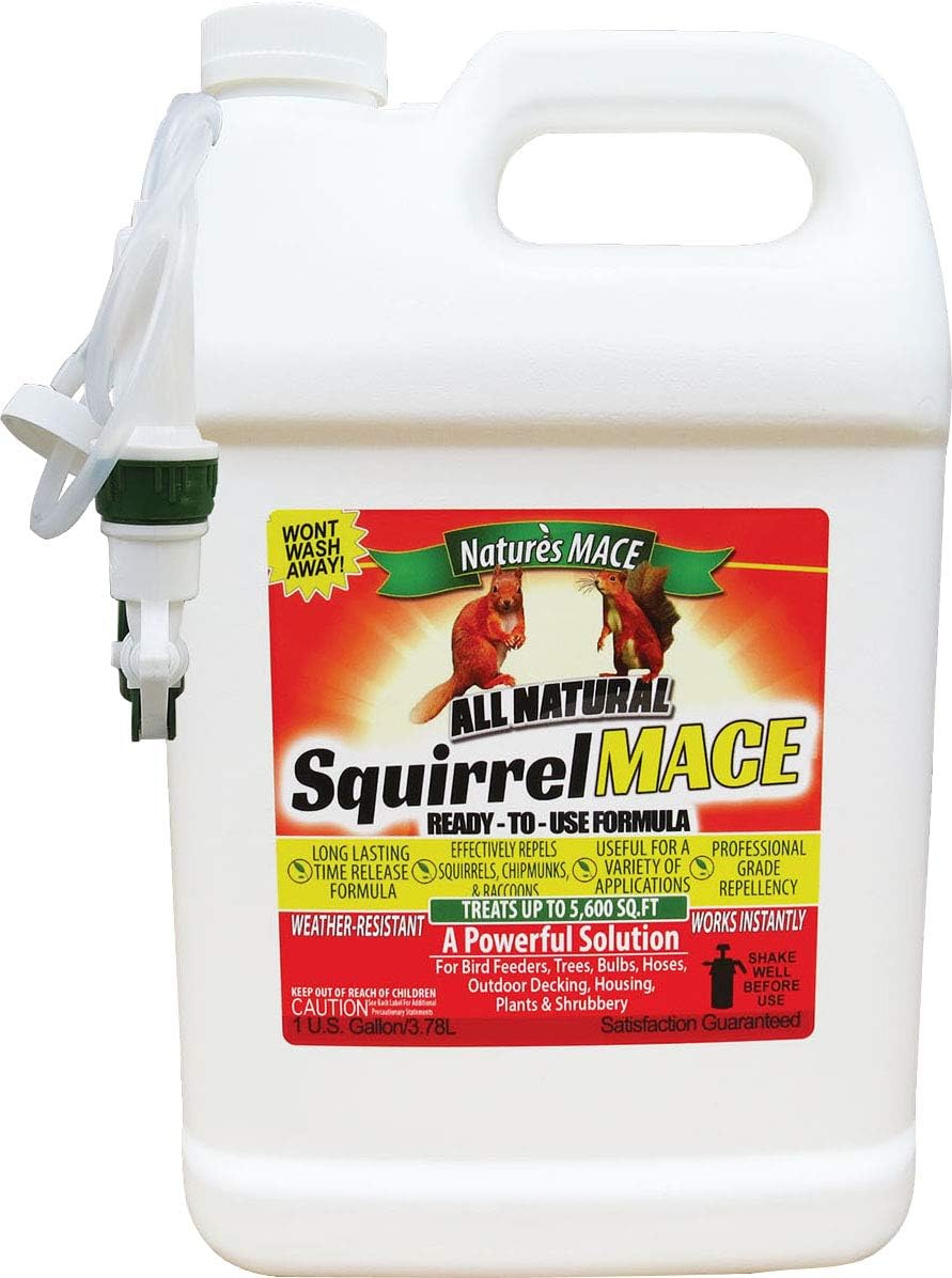 Nature's Mace Squirrel Repellent 1 Gal Spray/Covers 87,000 Sq. Ft./Keep Squirrels & Chipmunks from Destroying Trees, planters, flowerbeds, and Bird feeders/Safe to use Around Children & Plants