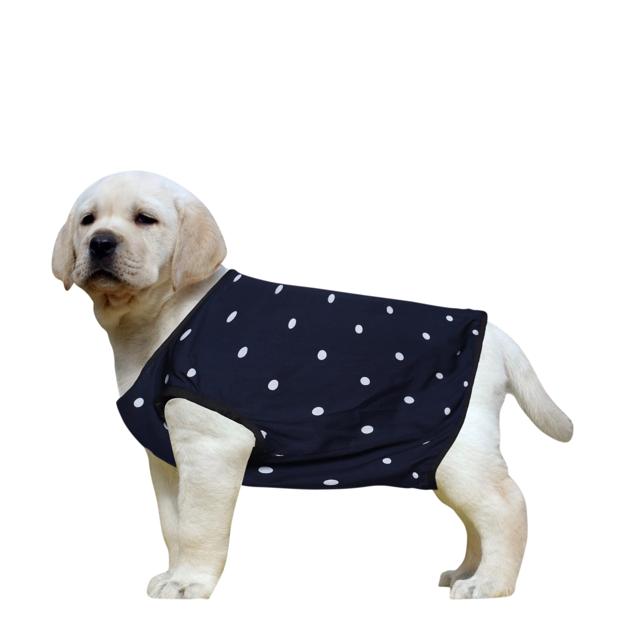 Western Era Funky Soft Cotton Dog T-Shirt | Comfortable & Breathable Dog Clothing | Sleeveless Vest Puppy Outfit |(Polka Blue) (Large) (22inches) (B09WK8DC91) Amazon Price History, Amazon Price Tracker