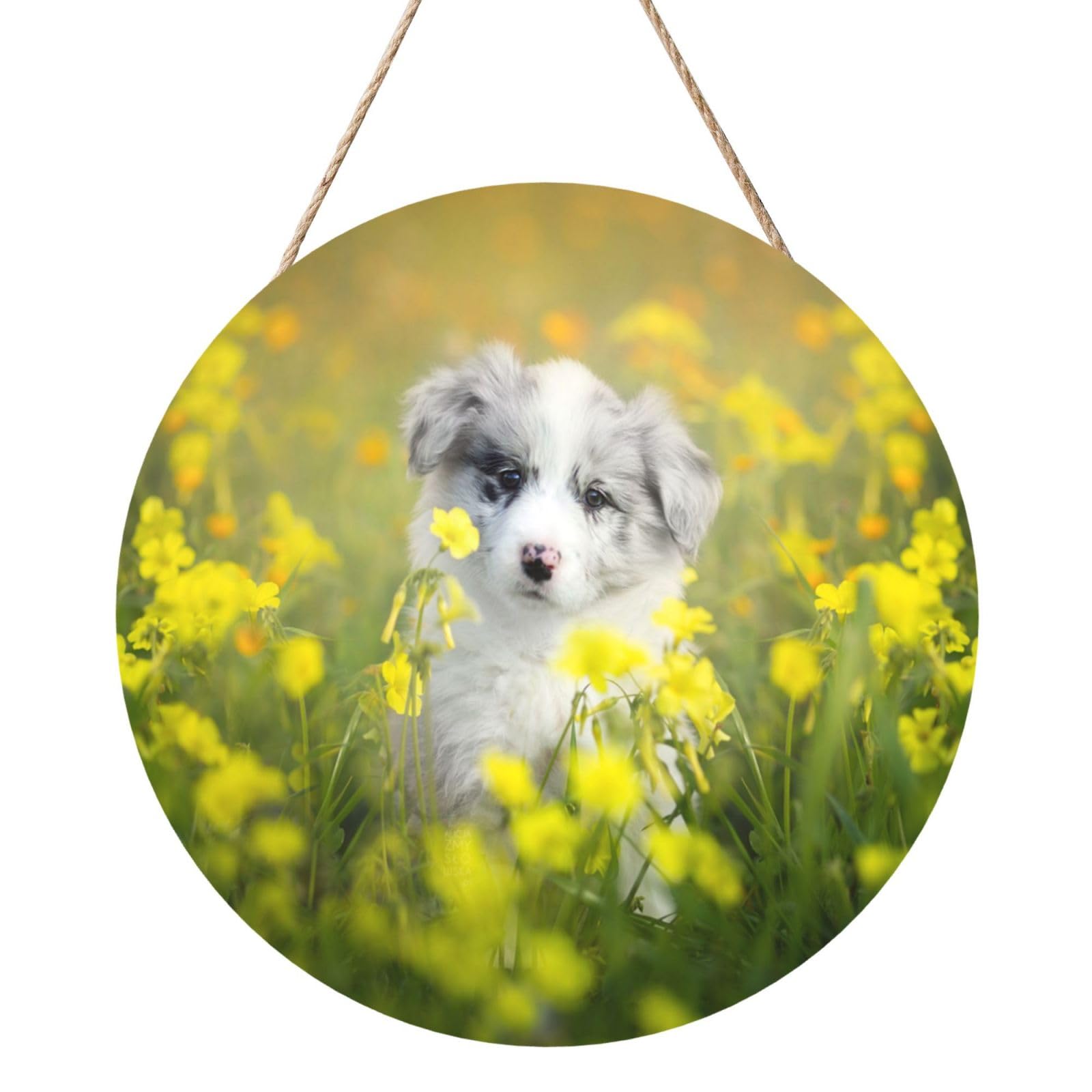 InOmak Australian Shepherd Dogs Mall White Puppy, Round Wood Panel Painting 12 in, Wall Hanging Painting For Home