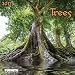 Trees (171520)