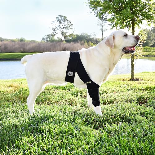 Image of Large Breathable Dog Knee Brace for Torn ACL Legs - Easy to Use, Neoprene Dog Leg Braces for Back Leg - ACL Brace for Dogs, Helps Reduce Pain and Heal Injuries