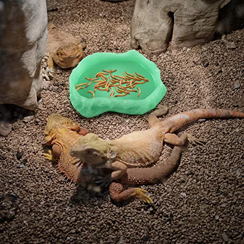 Reptile Food Water Rock Bowls - Luminous Amphibian Feeding Dish, Resin Rock Worm Feeder Terrarium for Lizards, Chameleon… - Image 7