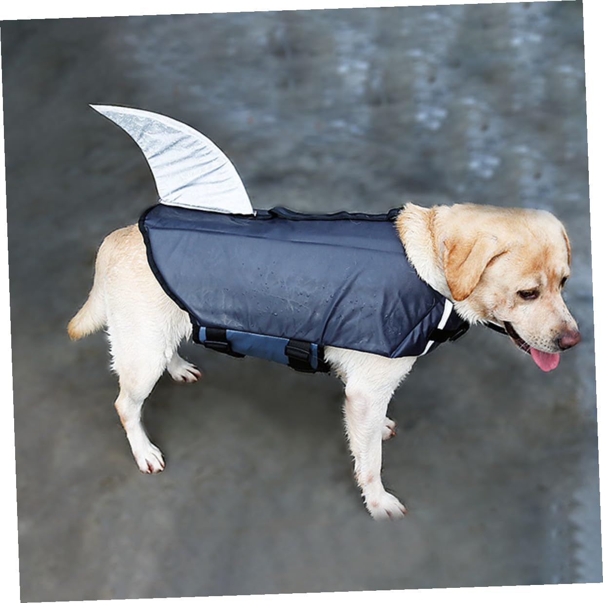 VICASKY Dog Shark Swim Vest Waterproof Floatation Life Jacket Reflective Gray XL for Outdoor Training and Pool Use