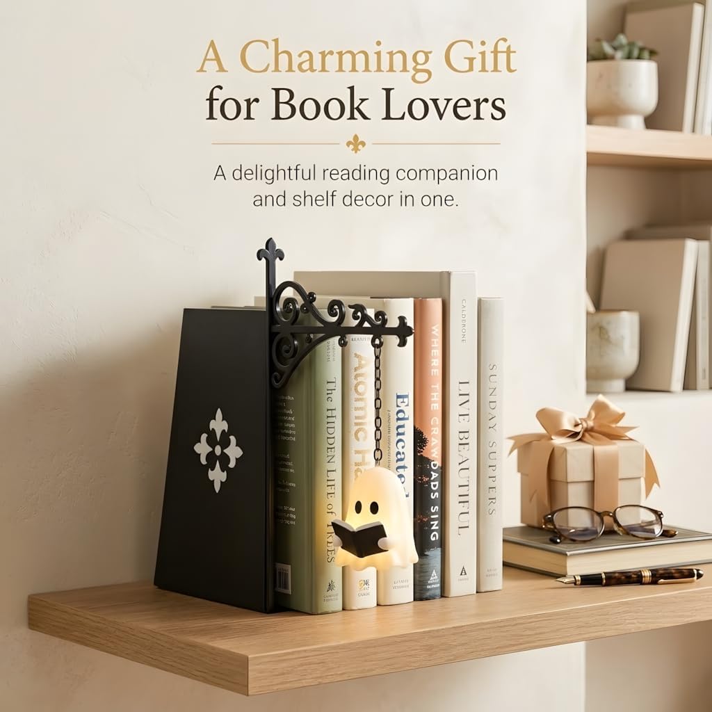 Miniature Hanging Lantern for Bookshelf, Library Lantern Decorative Bookshelf Lighting, Warm LED Book Shelf Light for Reading Corner, Home Library Decor, Gift for Book Lovers (4, Book Light) thumbnail