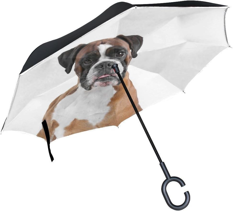 large dog umbrella