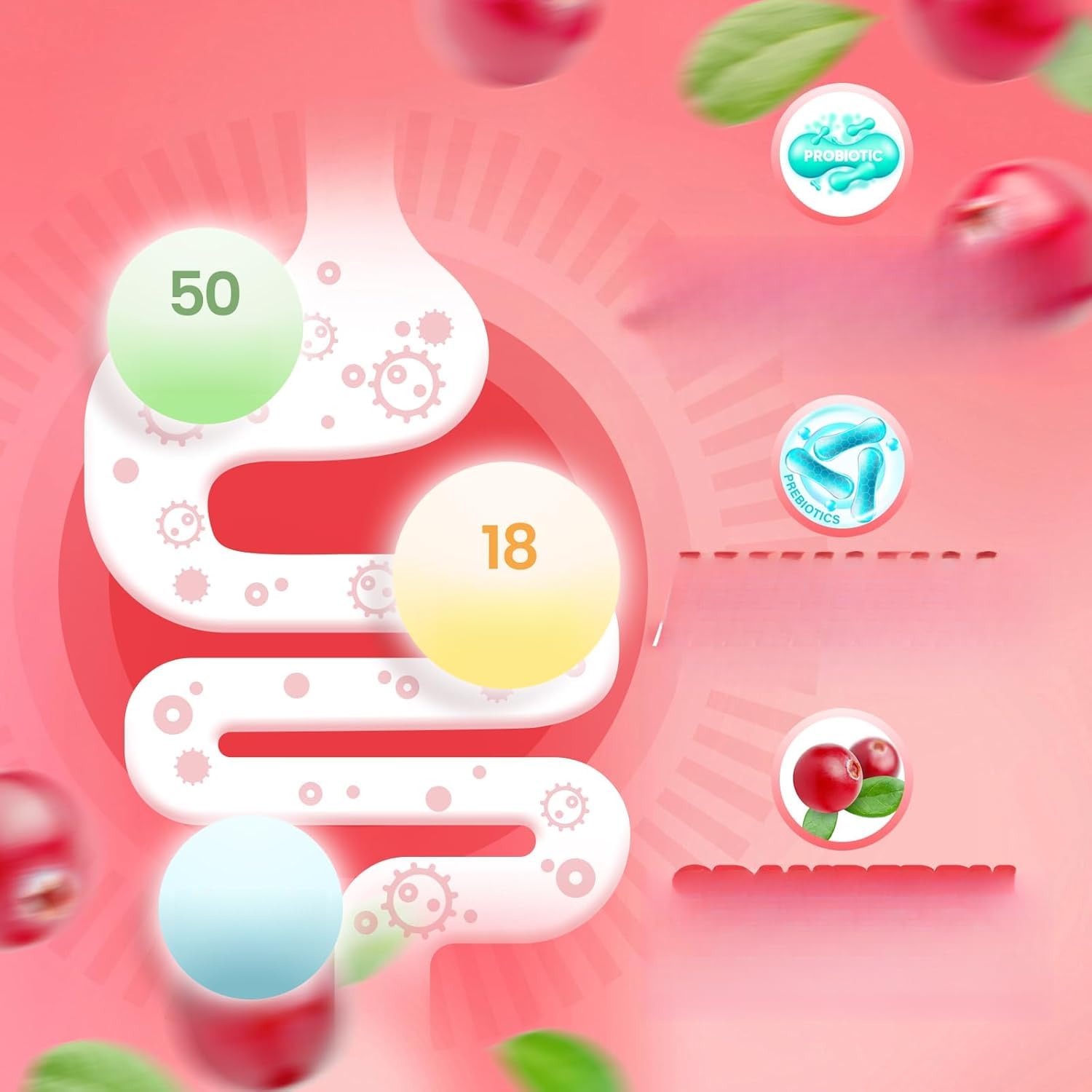 Gummie vaginale femelle, équilibre de la levure et de la flore