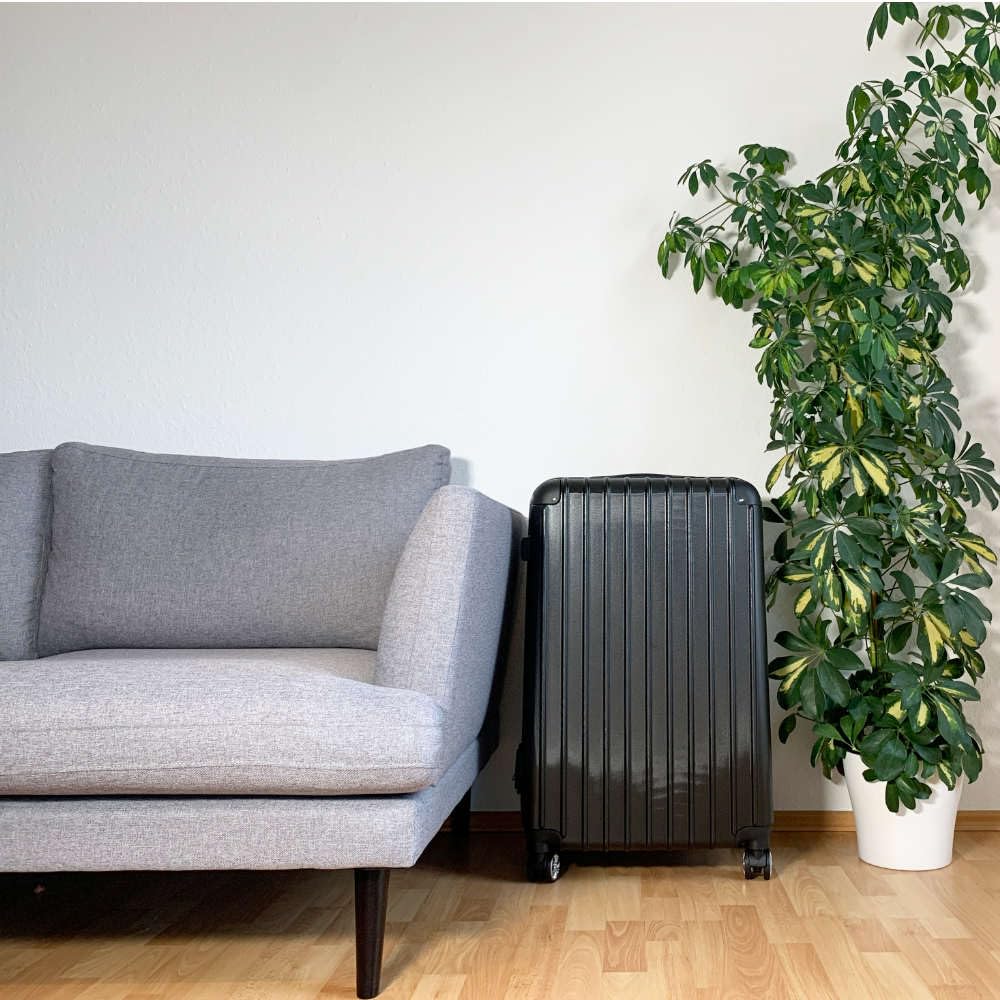 Petite Chambre de Culture Portable Neo V3.0 – Valise de Culture Discrète avec LED Bonsanto, Filtre à Charbon Silencieux, Ventilation Optimisée – Kit Complet avec Terre, Pots (3,2L) & Engrais
