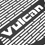 PRO-KODASKIN-Motorcylce-Laser-Cutting-Stainless-Steel-Radiator-Guard-Cover-Protector-Fit-for-Kawasaki-VULCAN-S-650-VULCANS650-2015-2019