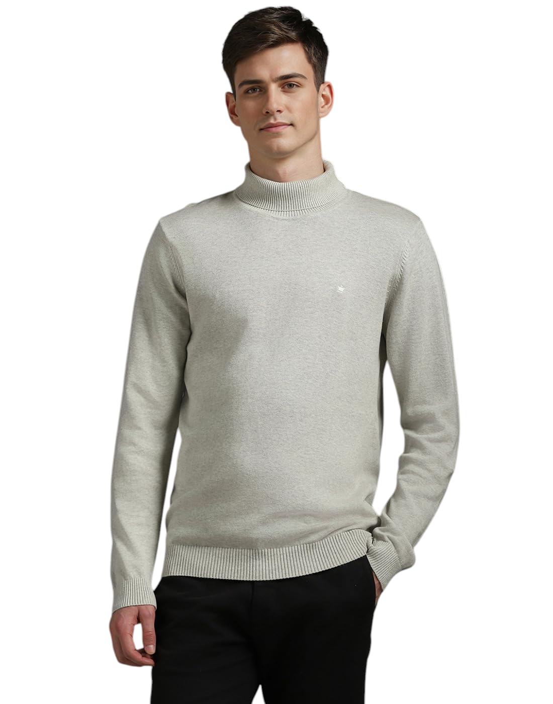 louis philippe Men Sweater-picture-23