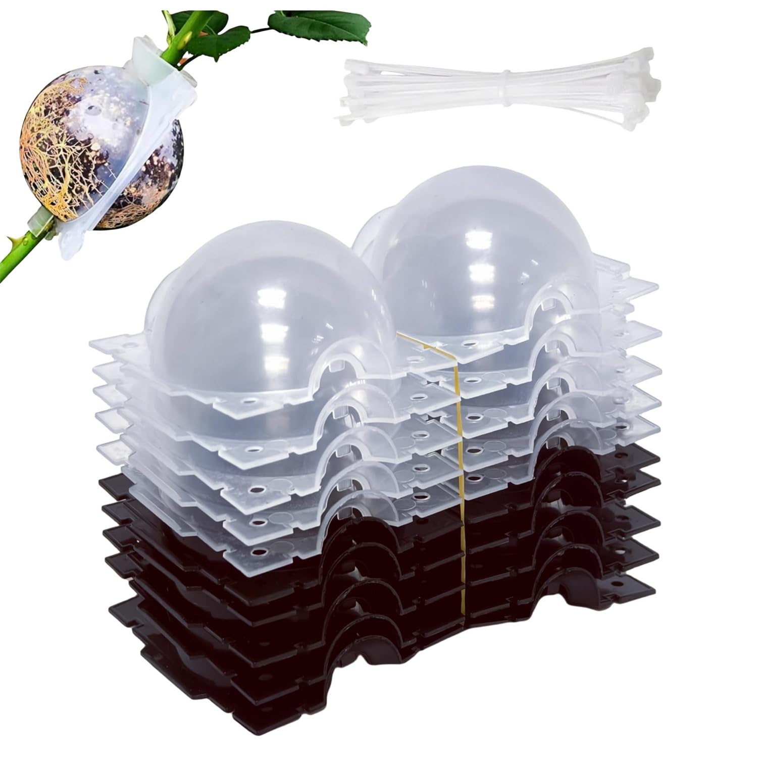 Twinice 10 Pcs Rooting Sprout Kit for Plants,Rooting Box for Cuttings and Grafts,Mini Greenhouse with Ties