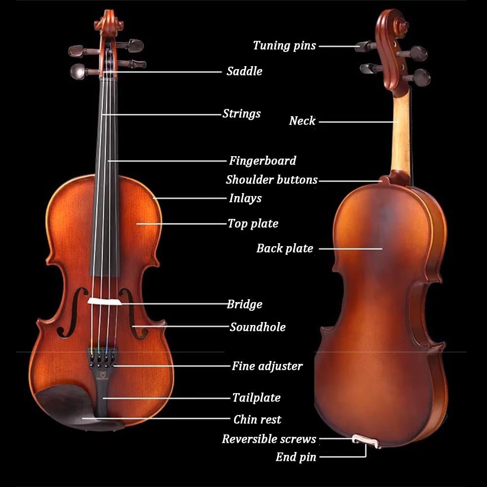 Set Per Violino 4/4, Violino Standard In Legno Massello Per Principianti, Adulti E Studenti, Con Custodia Rigida, Spalliera, Pece, Archetti, Accordatore A Clip E Corde Extra(4/4)