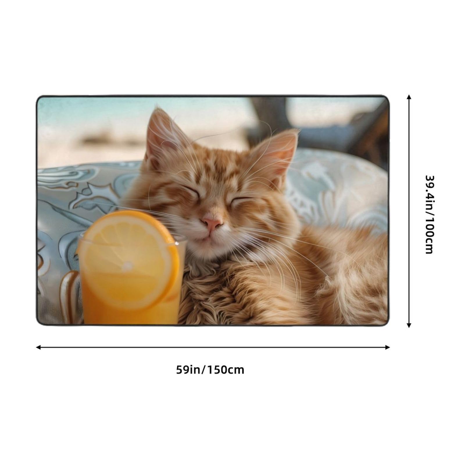 Tapis apaisant pour chat avec zone de jus d'orange pour salon, chambre à coucher, tapis lavable doux, 7,6 x 12,7 cm, antidérapant, tapis de sol intérieur pour décoration
