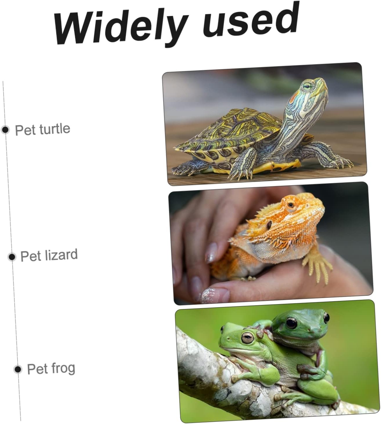 POPETPOP 8pcs Reptile Carpet Mat Comfortable Terrarium Liner for Lizards Geckos Snakes Tortoises Substrate for Easy Maintenance Visual Appeal