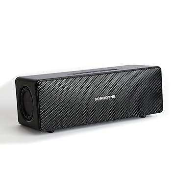 Sonodyne Antara 40 W Wireless Portable Bluetooth Speaker with True Stereo Sound, Upto 12 Hours Battery, Type-C Charging, IP65 Water & Dust Resistant (Black)