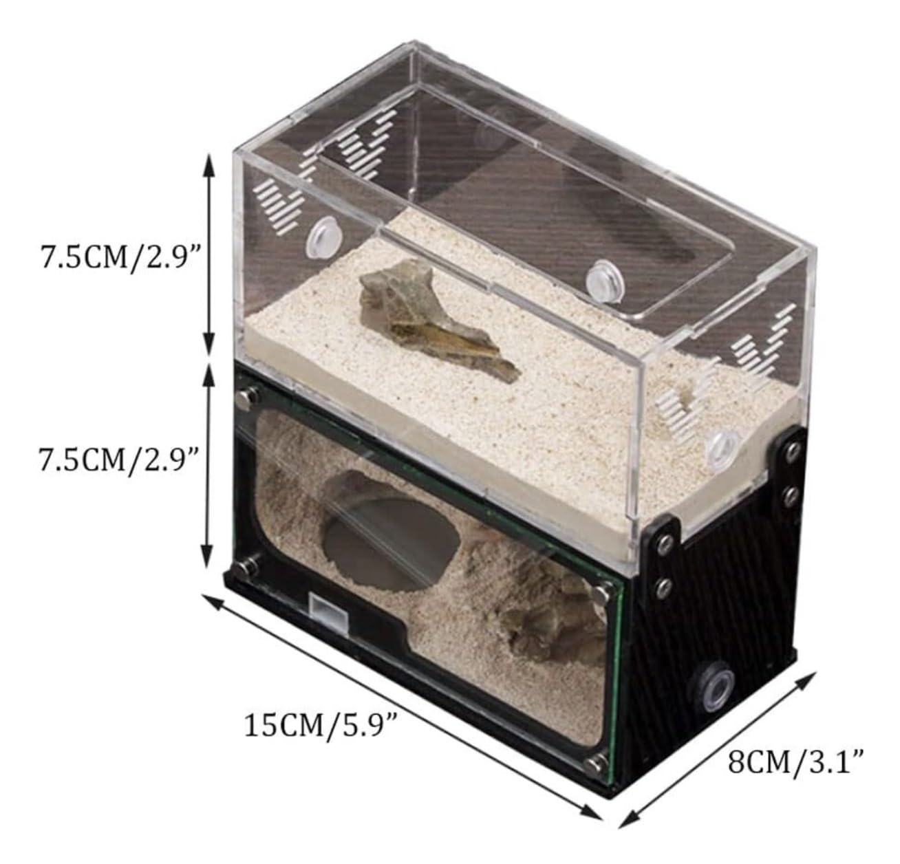 Ameisen Terrarium Betonameisenfarm Mit Jagdgebiet, Unbegrenzte Vertikale Erweiterung, Ameisennest, Haustierameisenhaufen, Werkstatt, Schloss Formicarium(7.5cm)