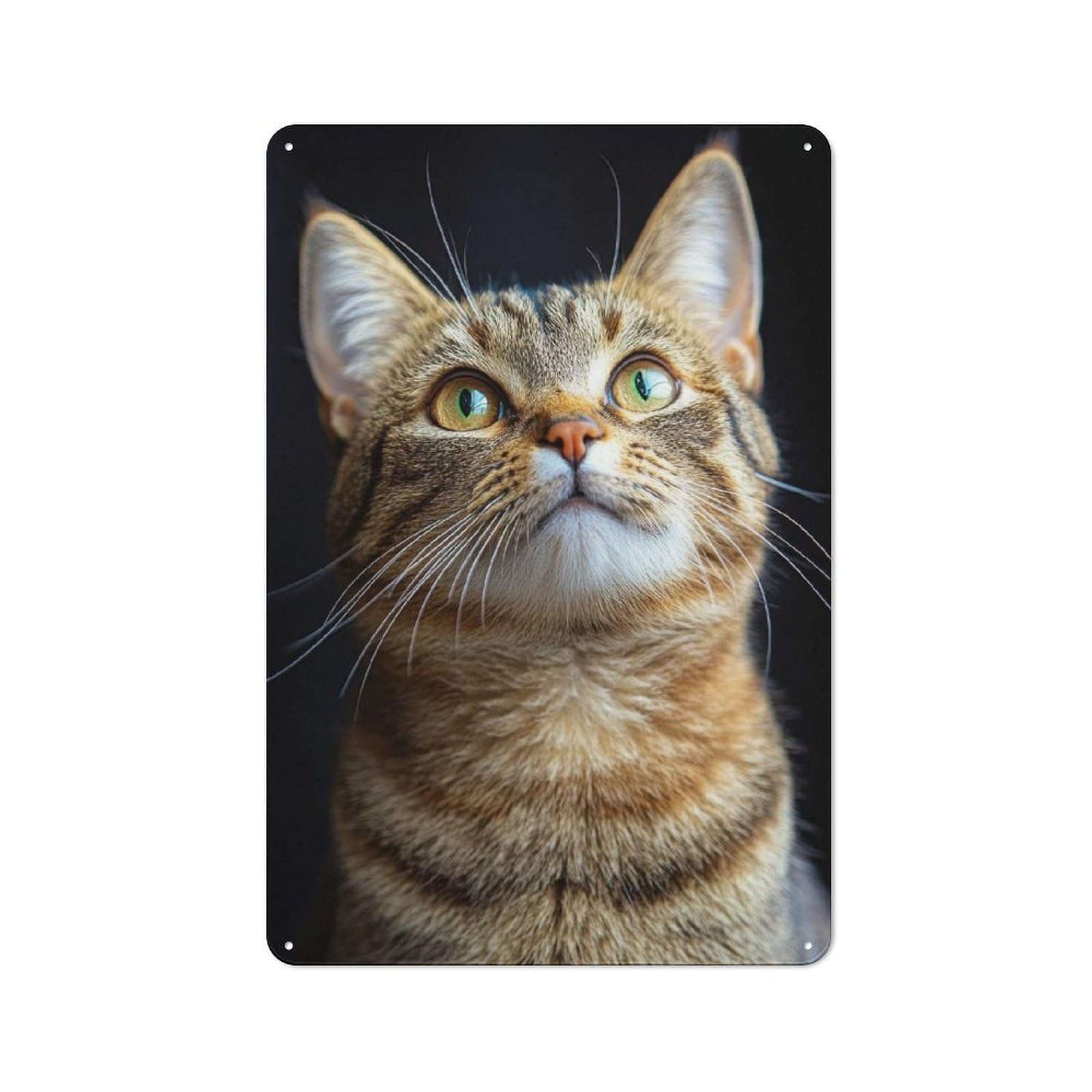 Junmoney Curious Tabby Cat Printed Metal Sign For Pet Owners, Birthday, Christmas Or Housewarming Gift, 30X20cm