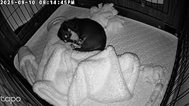 Review Image by Tiffany Tiffany