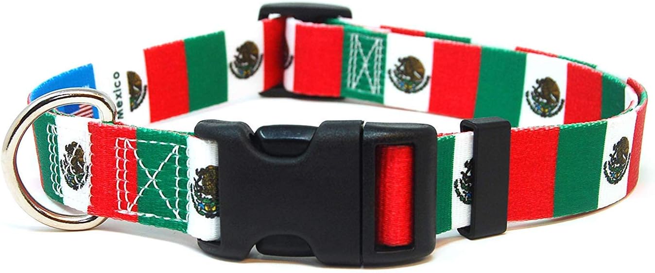 Mexican dog collar Clearance