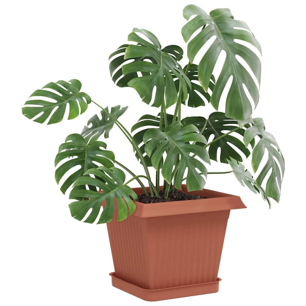 Set di 6 vassoi da fiori quadrati in plastica robusta, 15 x 15 x 2 cm, resistenti alle intemperie, al gelo, ideali per balcone, giardino, terrazza e per la cura delle piante da interni