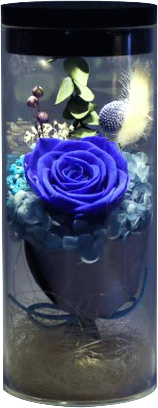 Eternal Flower Preserved Fresh Rose Flower Glass Cover Colorful Flowers with LED Colorful Light Transform, Best Gift for Valentine's Day, Mother's Day,Birthday, Christmas, Wedding Ceremony