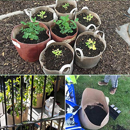 PEYOU Bolsa de Cultivo de Plantas 20L(5 Piezas), Saco para Plantas ...