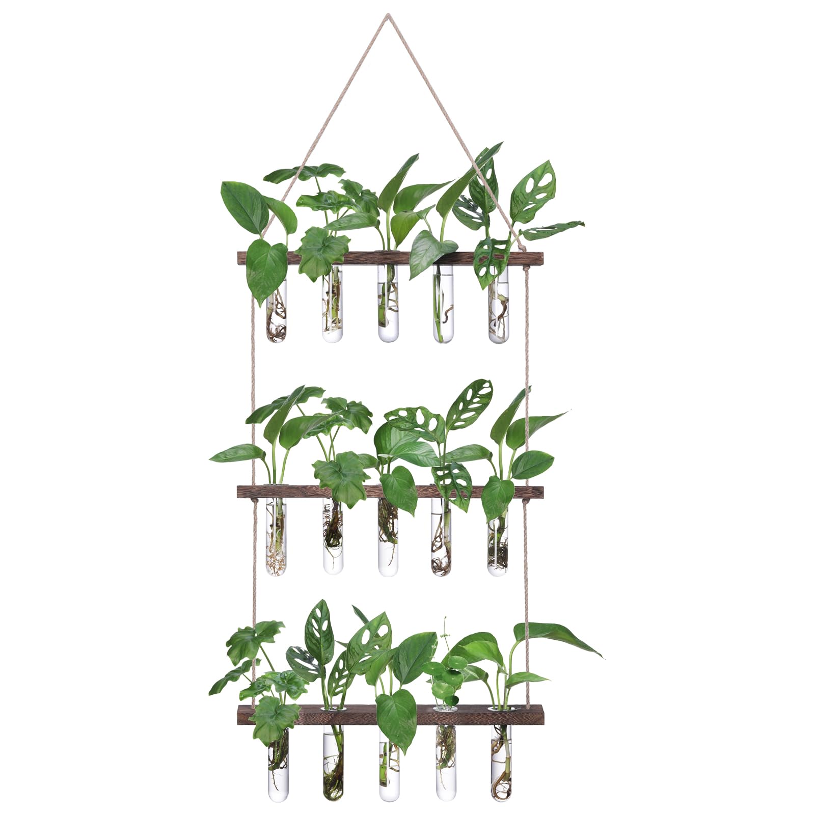 XXXFLOWER Reagenzgläser für Blumen,Kleine Vasen Set mit Ständer für Pflanzen,3X5 Propagation Station,Ableger Pflanzen Glas für Hydrokulturpflanzen Stecklinge,Zimmerpflanzen Zubehör Pflanzenterrarium