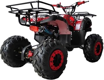 TAO TAO Brand New for 90% Assembled Model ATA 110D Fully Automatic 110cc Utility ATV - New Color : BOLD BLUE