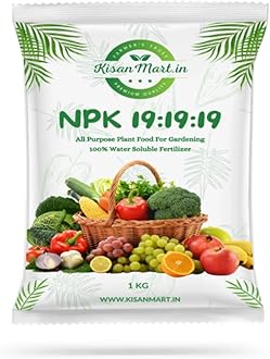 Kisanmart NPK19 Organic Fertilizer For Plants - 500 gm | 100% Water Soluble I Complete Plant Food For Gardening, Growth Boost and Flowering | Foliar Spray