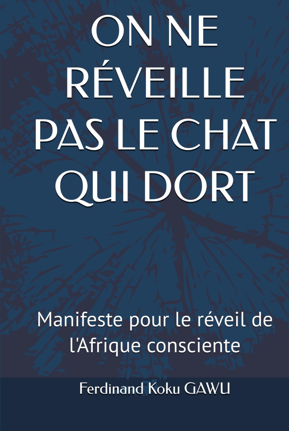 ON NE RÉVEILLE PAS LE CHAT QUI DORT: Manifeste pour le réveil de l'Afrique consciente