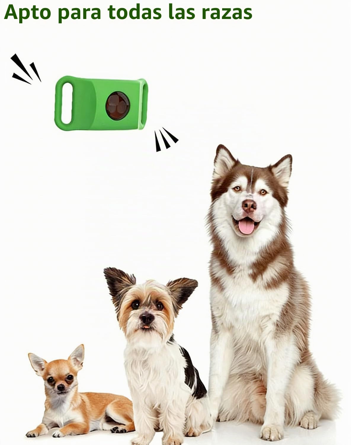 Colgante para Perros Everly – Colgante antiparasitario Natural para Mascotas 2026. Placa de Collar de Larga duración para protección Diaria, brindar Comodidad Durante los Paseos (Green)