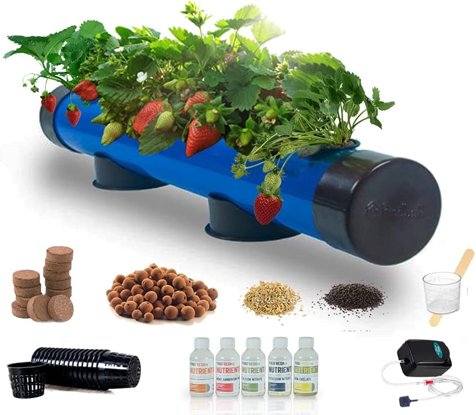 Hydroponics Kit for Home - PindPipe - 5 Plants, Beginners Hydroponic System - Reusable - for Indoor/Outdoor hydroponics - Seeds Included (Blue)