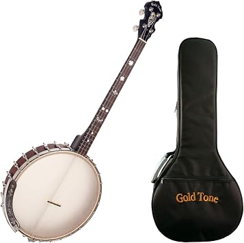 Goldtone IT-19 Irish Tenor Banjo w/Bag