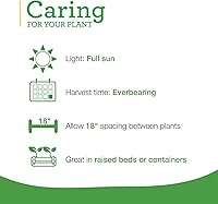 Vista 5 de Bonnie Plants Fresa, planta viva, 19.3 oz (paquete de 4)