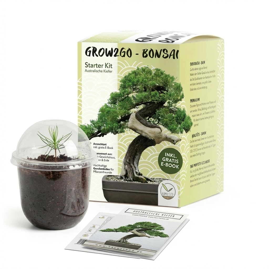 GROW2GO Bonsai Starter Kit Anzuchtset - Pflanzset aus Mini-Gewchshaus,  Samen & Erde - nachhaltige Geschenkidee fr Pflanzenfreunde (Australische  Kiefer) : Amazon.de: Garten