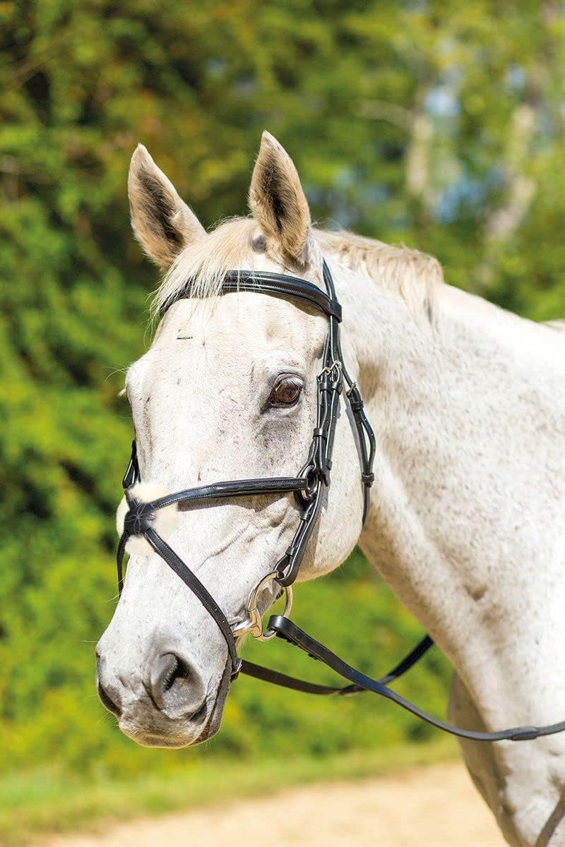 Shires Equestrian Avignon Woodside Bridle