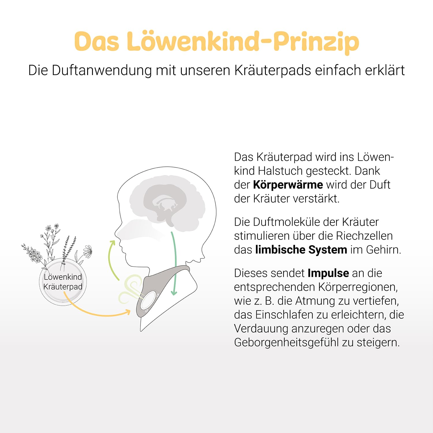 LÖWENKIND Wonnebäuchlein-Set für Bauchbeschwerden bei Babys und Kindern | Natürliche Kräuterpads ohne Zusatz ätherischer Öle Ab Geburt anwendbar Von Hebammen empfohlen 75 Tage Anwendung (Altrosa)
