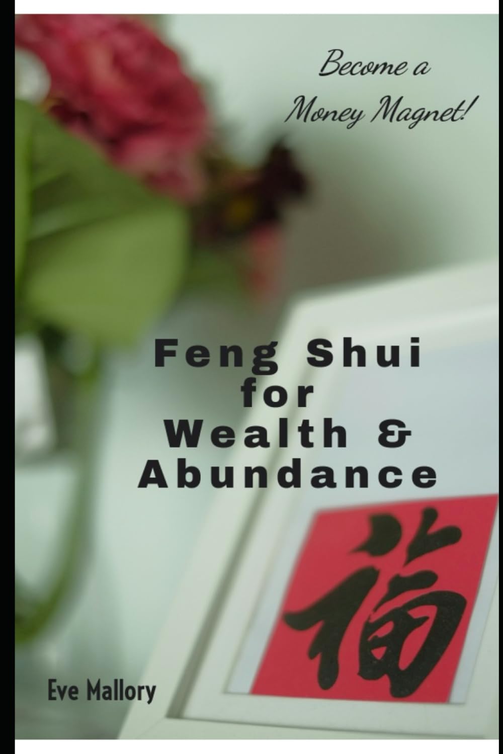 Feng Shui for Wealth and Abundance: Become a Money Magnet