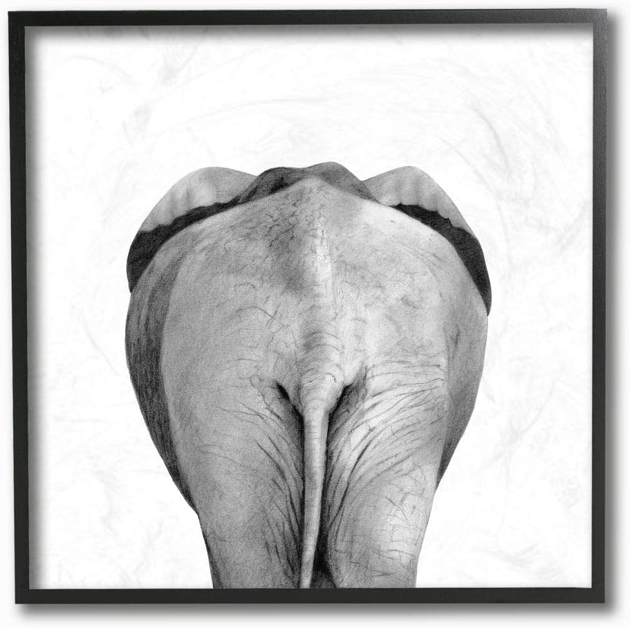 Stupell Industries Grey Elephant Butt Minimal Black White Drawing