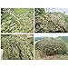 XYL Tela Red de Camuflaje - Malla de Camuflaje Militar 2x3m 3x4m...