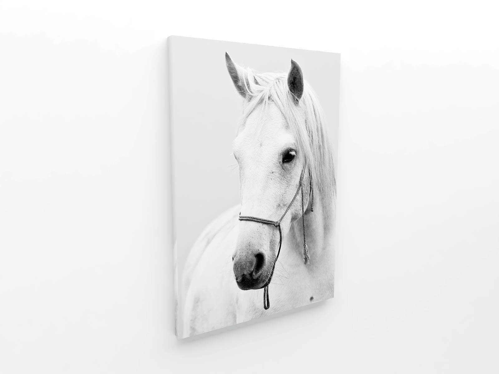 Panorama Quadro su Tela Canvas Stampe da Parete Cavallo 70x100cm - Telaio in Legno Incluso - Quadri Moderni Soggiorno