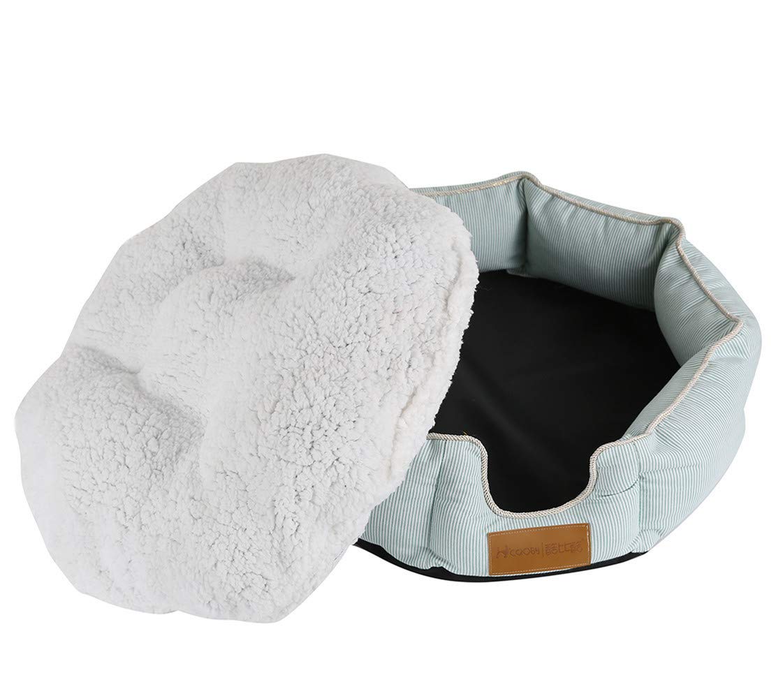 Mignon chat maison d'hiver au salon : petit chenil géométrique et pliable pour des siestes douillettes