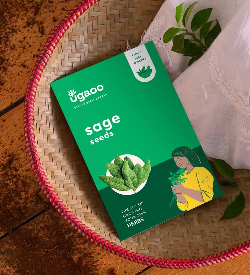 See full amazon price history chart for UGAOO Sage Herb Seeds (Green, Pack of 100) UGAOO Sage Herb Seeds (Green, Pack of 100) (B09MLQ2XJC) Amazon Price History, Amazon Price Tracker