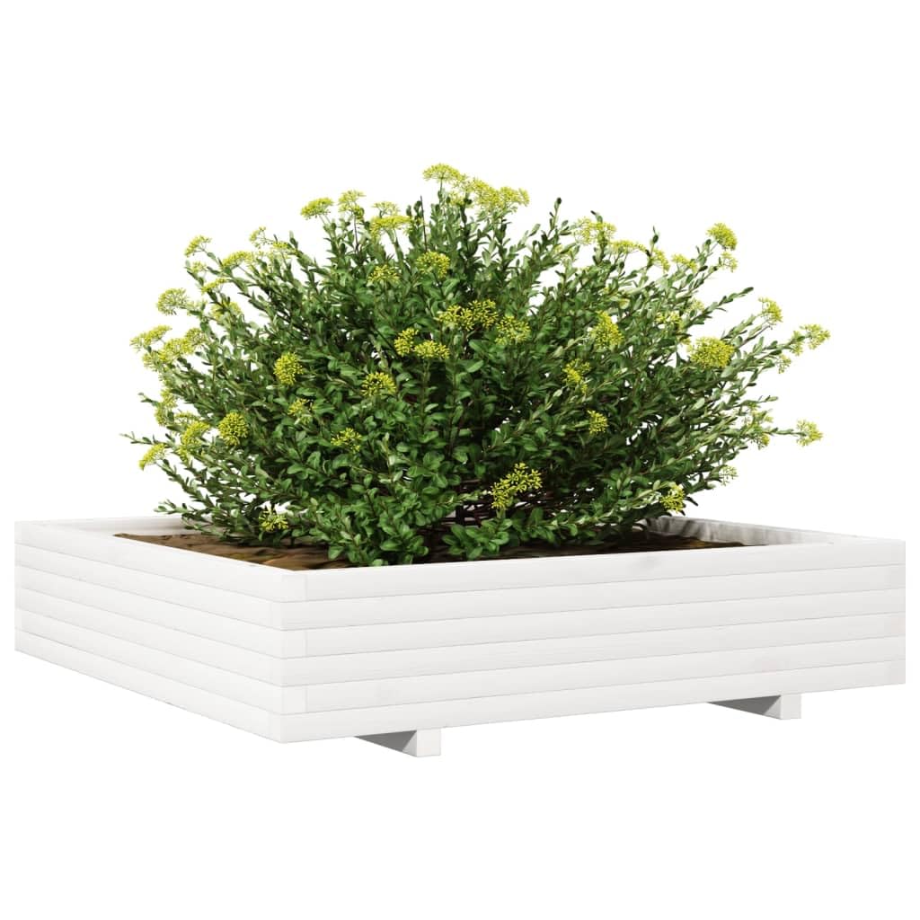 Pflanzkübel Weiß 110x110x26,5 cm aus Massivholz Kiefer, großer Blumenkasten für Pflanzen, Gemüse, Kräuter und Blumen, dekorativer Hochbeet für Garten