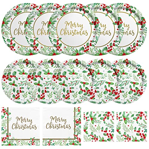 Christmas Party Supplies, Serve 50, Christmas Seasonal Holly Tableware Includes: Paper Dinner Plates, Dessert Plates, Luncheon Napkins and Beverage napkins, Great for Party Decorations Christmas Party Supplies, Serve 50, Christmas Seasonal Holly Tableware Includes: Paper Dinner Plates, Dessert Plates, Luncheon Napkins and Beverage napkins, Great for Party Decorations