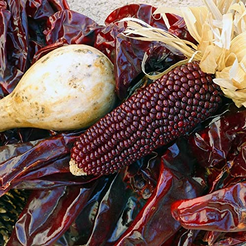 Episode 1: DIETA AZTECA 1