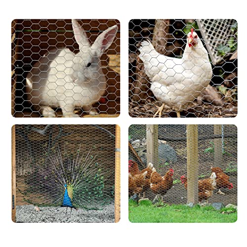 Bstwm Chicken Wire 16.5 Inches X 19.7 Feet X 0.82 Inch Mesh For Crafts And Gardening,Floral Chicken Wire Net,Galvanized Hexagonal Wire Fencing With Gloves,Wire Ties And Plier (19.7Ft) #TOP3