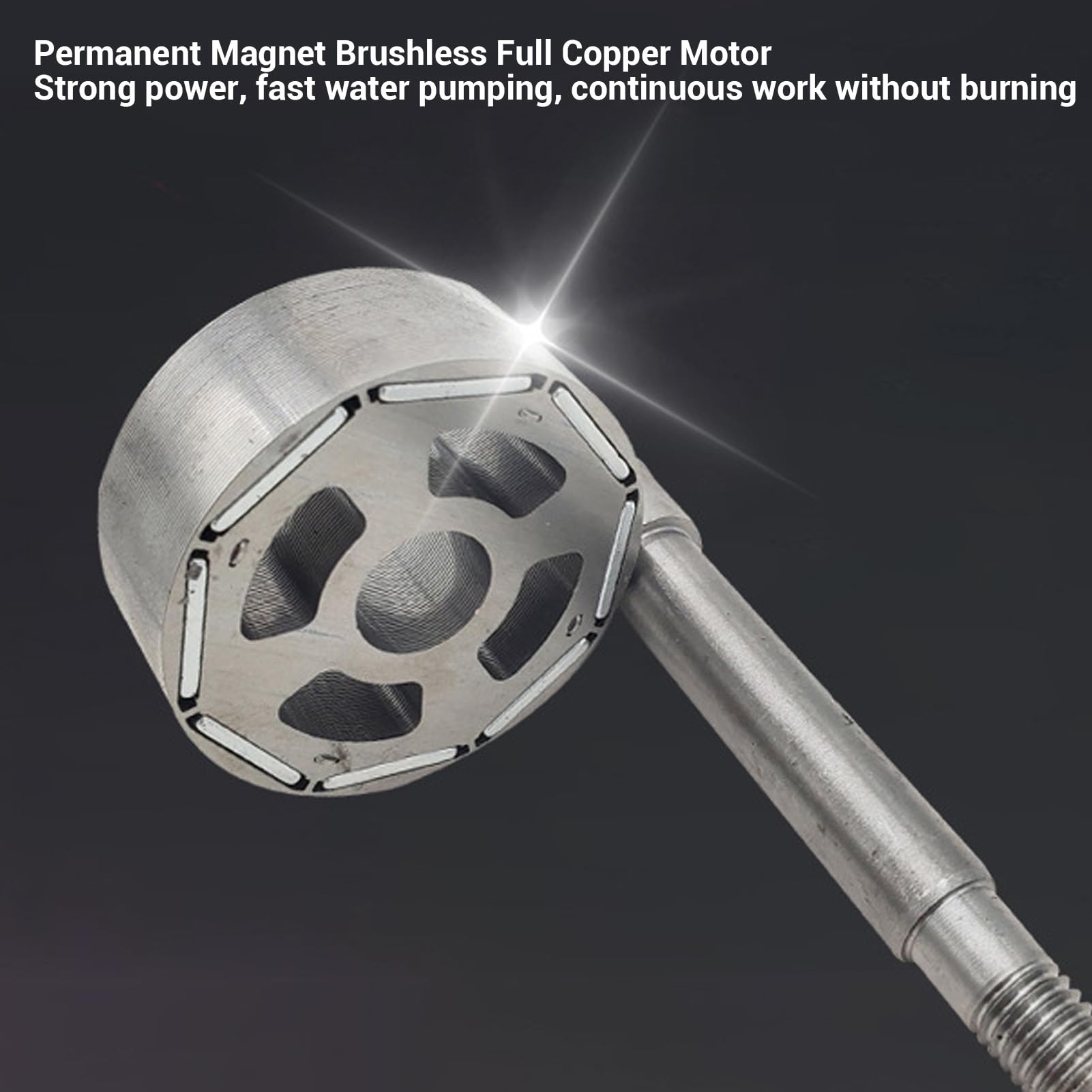 Aramox Pompa Ad Acqua Sommergibile in Acciaio Inossidabile da 300 W con Uscita da 1 Pollice per Bestiame da Giardino (DC24V)