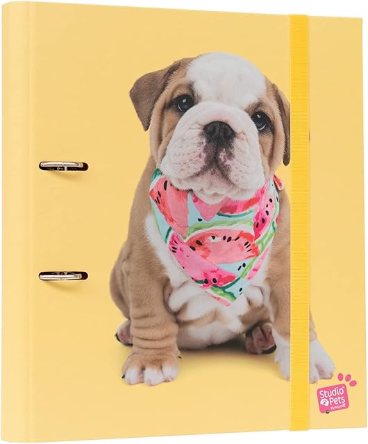 Grupo Erik Official Studio Pets Dogs 2 Ring Binder - A4 Folders Ring Binder - 10.6 x 12.6 inches / 27 x 32 cm - Ring Binder A4 - A4 Ringbinder - A4 Files 2 Ring Binder - Cute Stationery (C2AT0049)